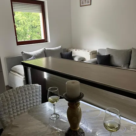 Apartment Sanja 2 Vrnjacka Banja