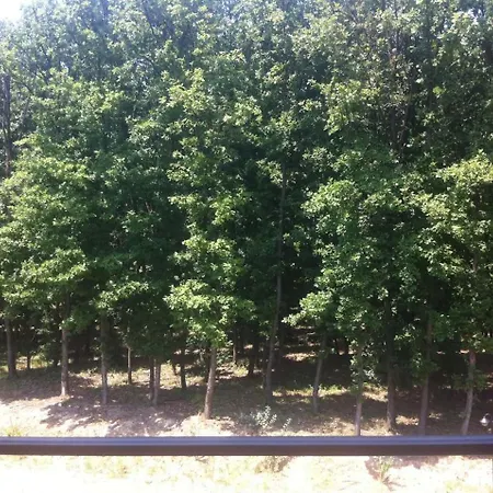 Sanja 2 Apartamento Vrnjačka Banja