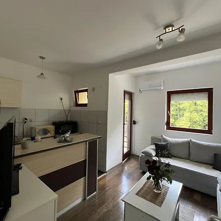 Apartment Sanja 2 Vrnjacka Banja