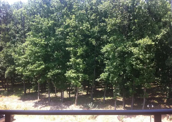 Sanja 2 شقة Vrnjačka Banja