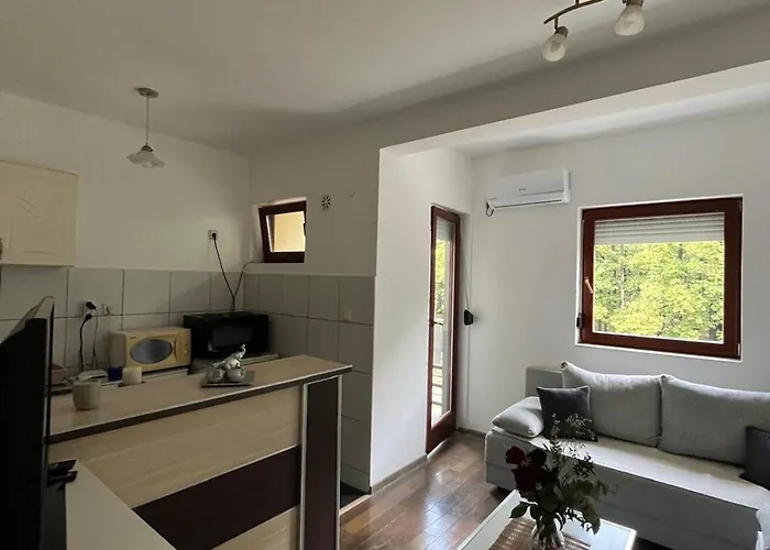 شقة Sanja 2 Vrnjačka Banja